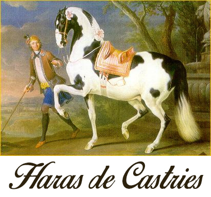 Haras de Castries